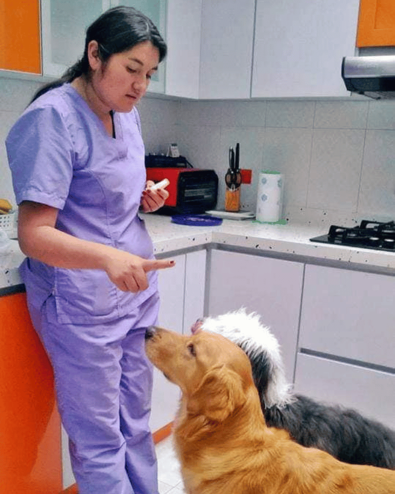 Galería KANINOS TRAINING COLOMBIA